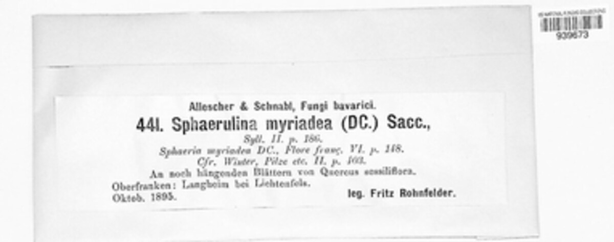 Sphaerulina image